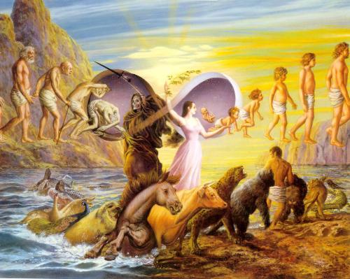 Cycle of life and death - This cool picture shows the cycle of life and death we must all go through and is a shared human experience we can all understand