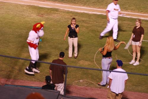 Tuffy the Toro - lasso the Toro at Hi Corbett, Tucson, Arizona, August 31, 2009