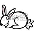 rabbits - I love rabbits