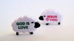 lamb of love - lamb of God