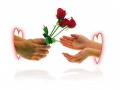 relationship - made for each other