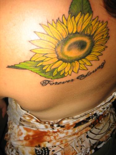 My new Tattoo - In loving memory of Stephanie