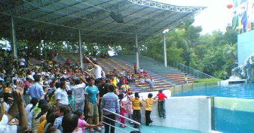 Dancing Crowd in Thailand - While waiting for the dolphin shows, the theme park on very nice Hindi music, even I enjoyed the songs. This group of tourist have fun and went to the stage  and dance. As the crowd clapped, more and more tourists join in the fun, even those Japanese and European also have fun dancing along!