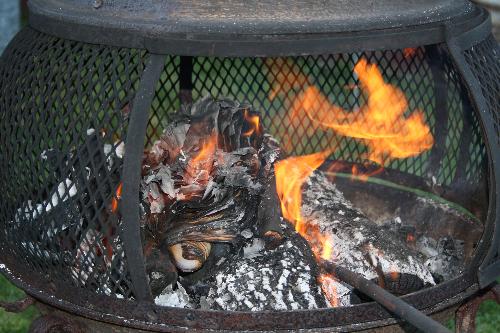 Back Yard Fireplace - This is a shot of the fireplace we have in the back yard.