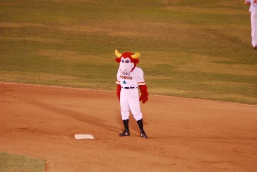Tuffy the Toro - Tuffy the Toro at Hi Corbett, Tucson, Arizona, August 31, 2009