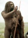 Ancient Human - This is an ancestor to modern humans.