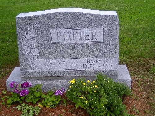 harry potter's dead! - no more movies,harry potter is dead!