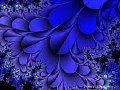 wallpaper - a blue leaf