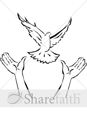 Hands releasing dove - Hands releasing dove - clip art