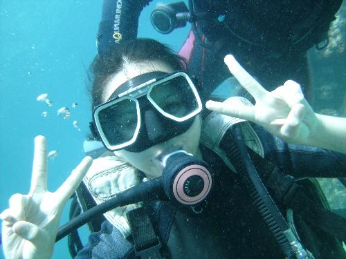 diving - diving is fun!