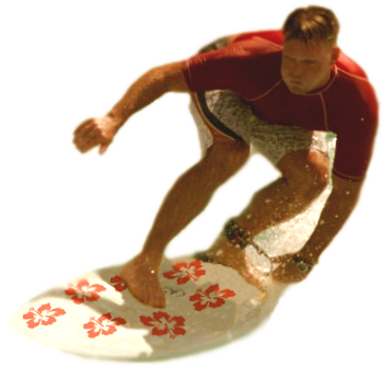 surf - this is an internet surfer