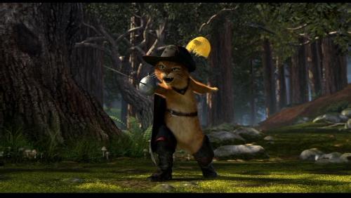 cat in Shrek - I love this cat.