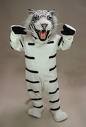 Tiger suit - man dressed in tiger suit.