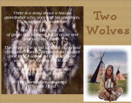 life lesson - this is an old native lesson that everybody should see and read as if is fitting to life today.