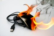 mouse - photo of a computer part