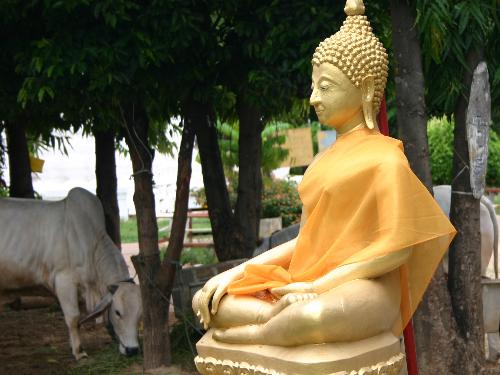 Buddha - A Buddha image.