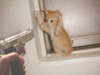 I surrender! - Take all what you want!