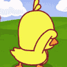 dancing chicken - chick