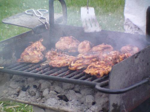 Chicken - Grilling chicken during a picnic.....was so tasty!