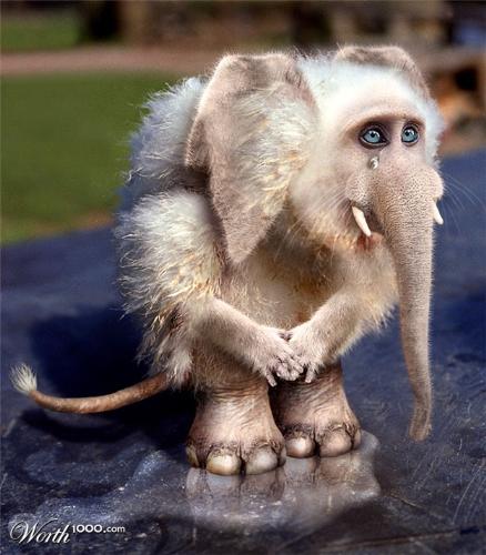 my littel friend - made from different animals
