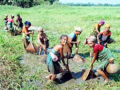 fishing - SOme women from a tribe in India busy fishing.