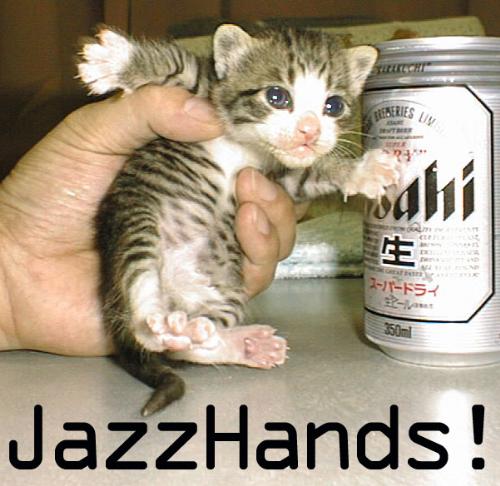 cute kitten - enjoy the cute kitten