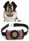 cell phone dog - cell phone for dogs