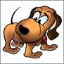 Dogs - cute Dog pic