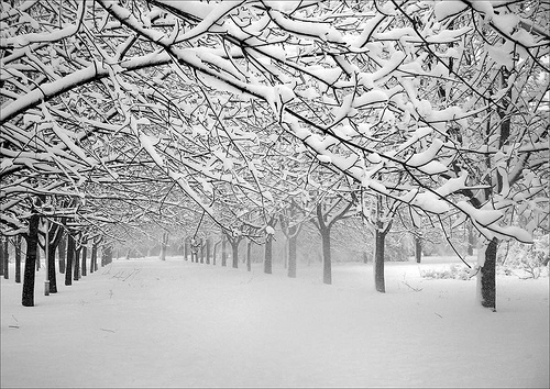 Winter in Odessa - Here is a picture of what winter in Odessa, Ukraine use to look like. Now there is not too much snow anymore:-(