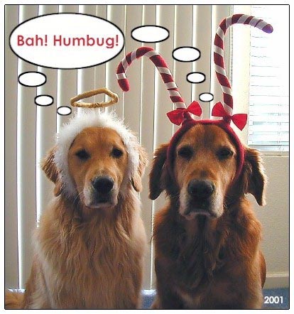 Bah Humbug! - Holidays are for those who have the money, time, and purpose to celebrate!
