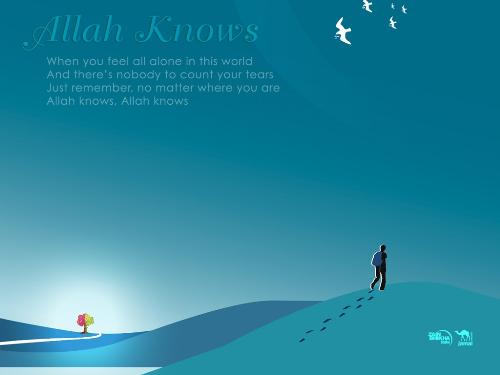 Allah Knows - Allah knows is a nasheed written by Zain Bhika.It is one of the best nasheed of him.It has very good image where a young boy travels in a desert and look from far a tree through which he can eat and safe his life and be happy. Imagine how someone will feel when they find very pleasant thing to eat in a lonely desert.