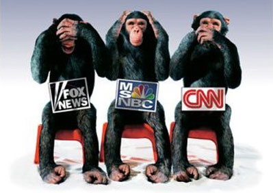 Monekys - Media Monkeys