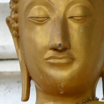Buddha - Image of the Buddha.