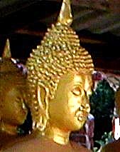 Buddha - Image of the Buddha.