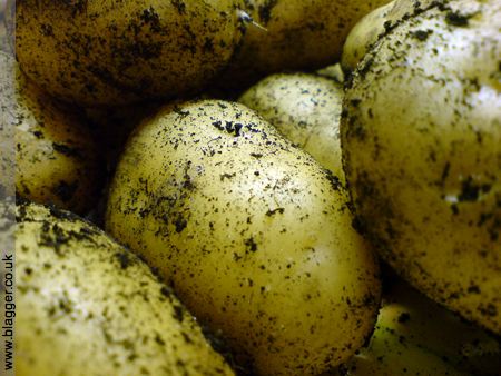 the usual - some potatoes