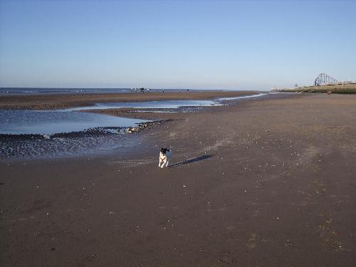 Beach - Beach in Blackpool, england