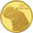 gold coin - Gold coin