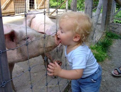 kissing  - A kid and a pig are kissing!
