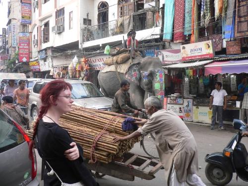 Street of himachal Pradesh - It is a street of HP.