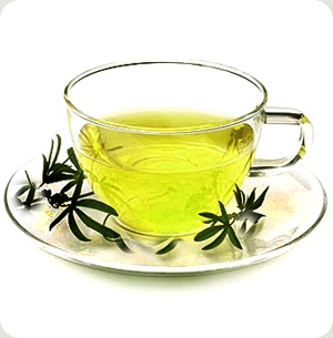tea - a cup of green tea