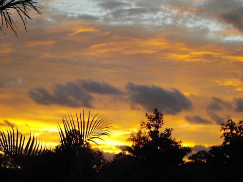 sunrise at my place - ya gorgeous isnt it? pitty temp got to 38 that day!