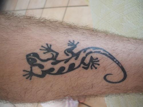 my gekko - a new one on myself