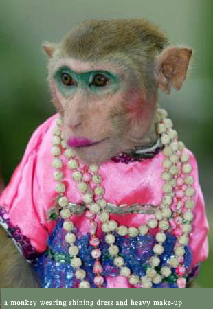 a monkey wearing shining dress and heavy make-up - I'm laughing when i see this picture about a monkey wearing shining dress and heavy make-up,does this picture make you happy too?