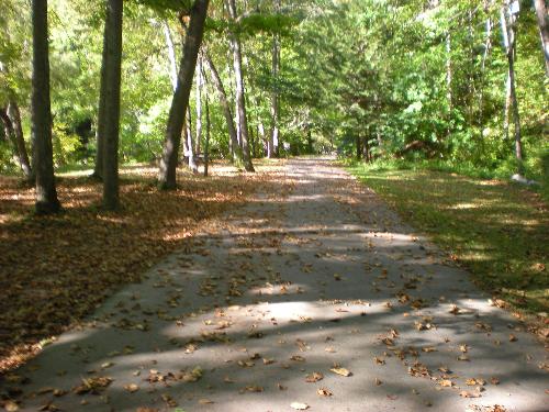 Walking in the fall - Walk to the falls @ Treman State Park