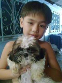 dog - doggy
