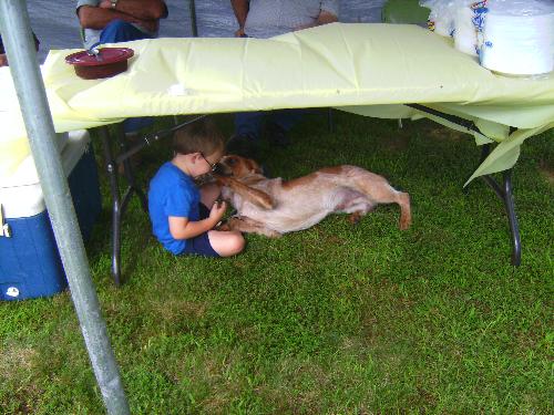 Animals - Little boy playing with his best friend