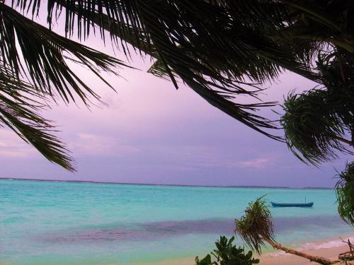 beautiful beach - What a wonderful beach! Enjoy life in the beach in summer.