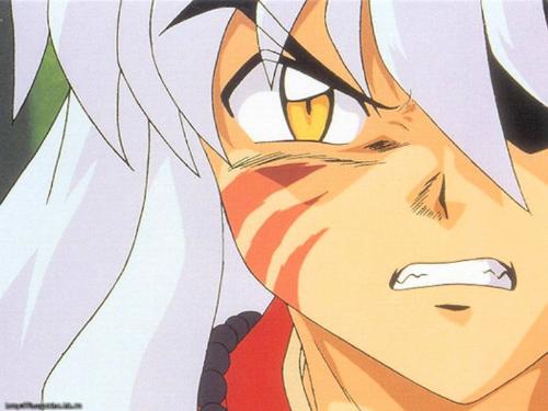 InuYasha - InuYasha is an anime taking place in feudal Japan, where a girl from modern day Tokyo gets transported - a world of demons, spells and warfare, but a story about friendship, love and inner struggle.
