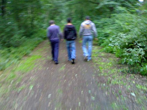 walking thrue the woods - We were just watking in the woods and taking pictures