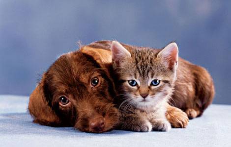True friends knows no bounds - True friends are hard to find but comes in unusual times.